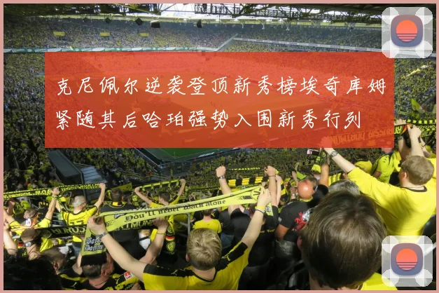 克尼佩尔逆袭登顶新秀榜埃奇库姆紧随其后哈珀强势入围新秀行列