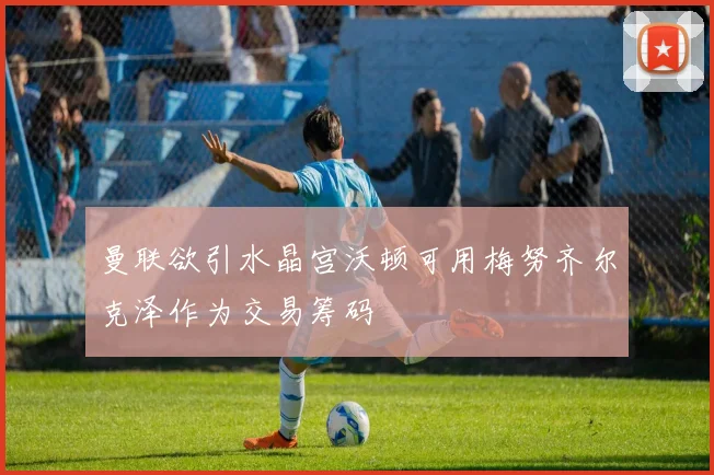 曼联欲引水晶宫沃顿可用梅努齐尔克泽作为交易筹码