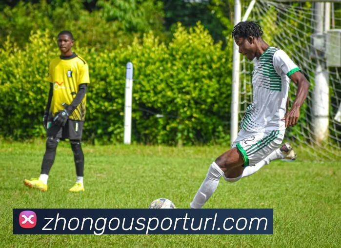 意甲第19轮最佳阵容揭晓戴维迪马尔科戈森斯佩罗内等球员入选